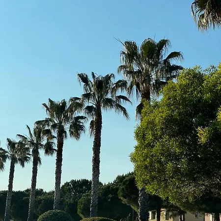 Cocody * Bandol