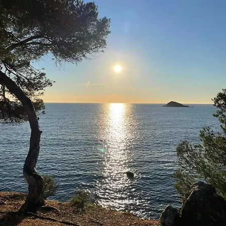 Cocody * Bandol