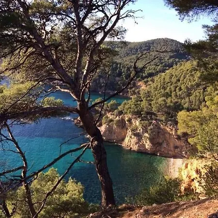 Cocody * Bandol
